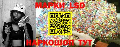 гидропоника Ирбит