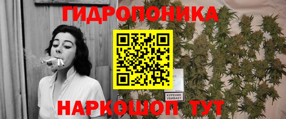 Шишки марихуана Amnesia Кыштым